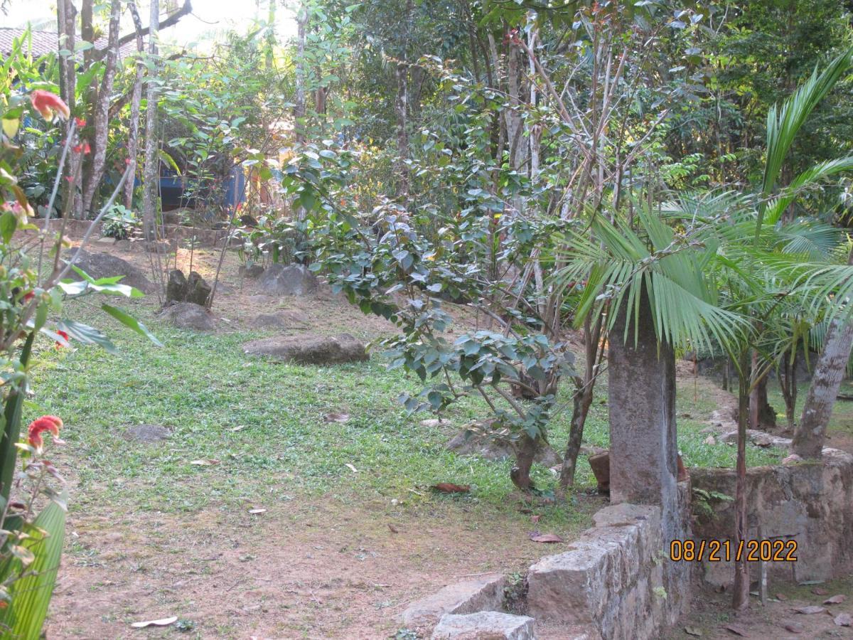 Janela Dos Meus Sonhos Villa Penedo  Eksteriør billede